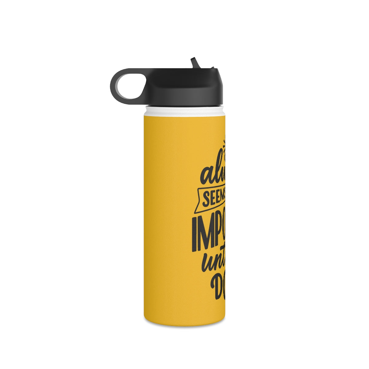 Stainless Steel Water Bottle, Standard Lid