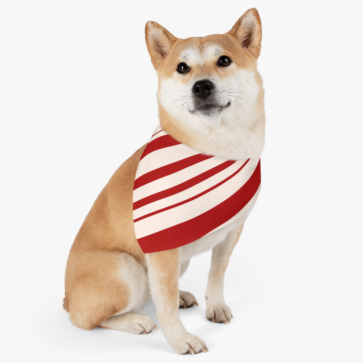 Candy Cane Pet Bandana Collar