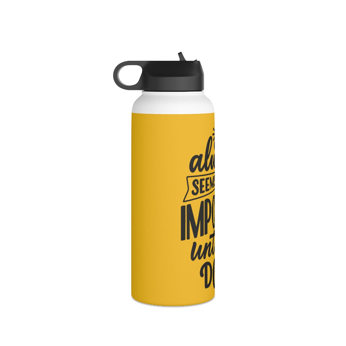 Stainless Steel Water Bottle, Standard Lid