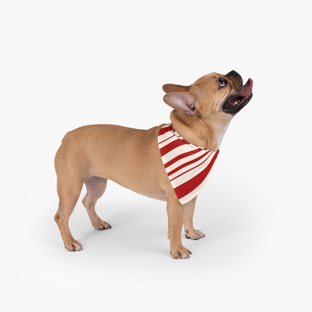 Candy Cane Pet Bandana