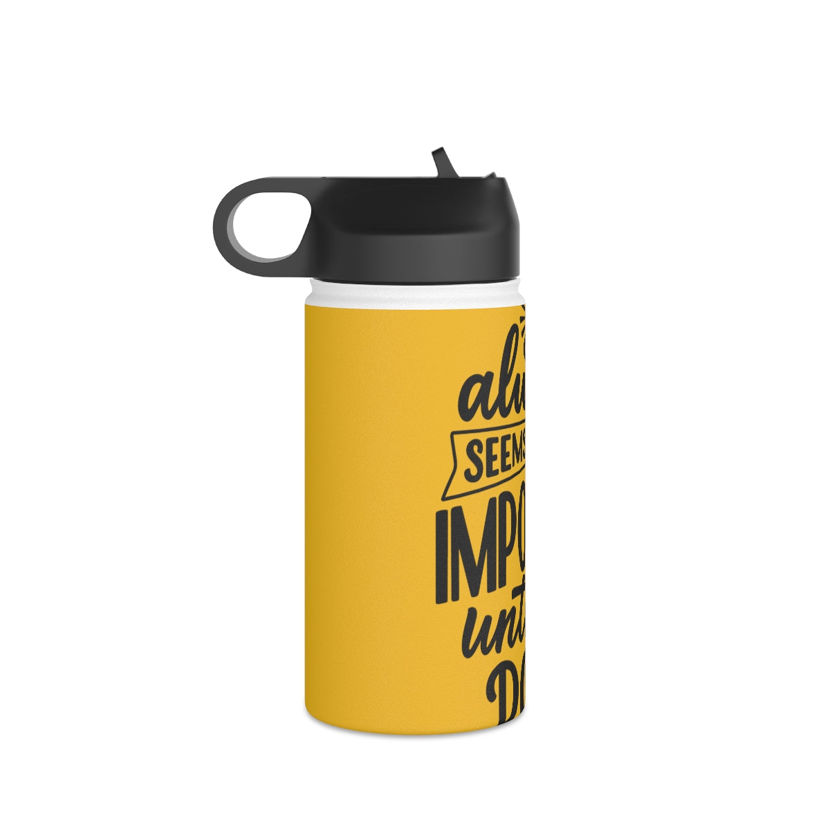 Stainless Steel Water Bottle, Standard Lid