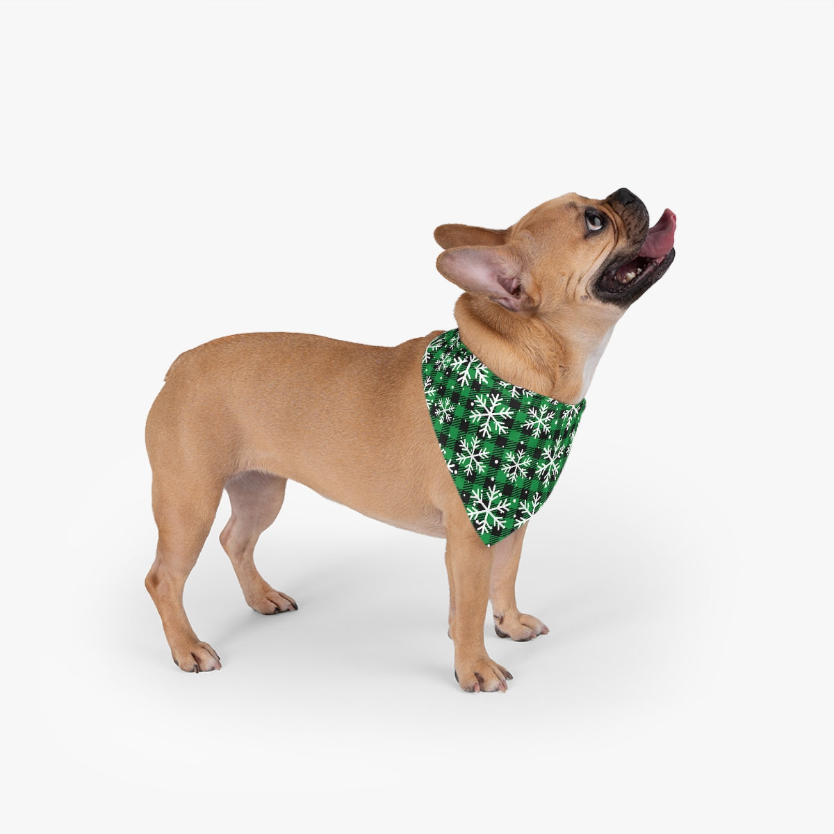 Ugly Sweater Pet Bandana