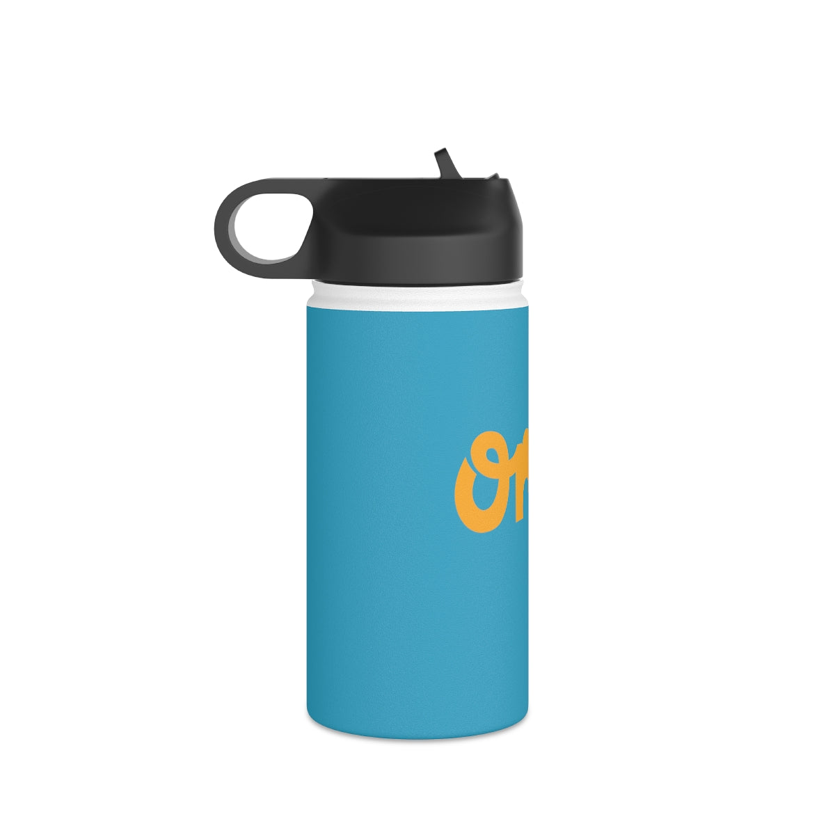 OMG Stainless Steel Water Bottle, Standard Lid