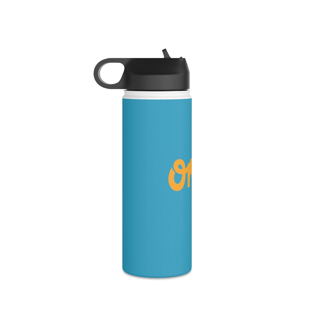 OMG Stainless Steel Water Bottle, Standard Lid