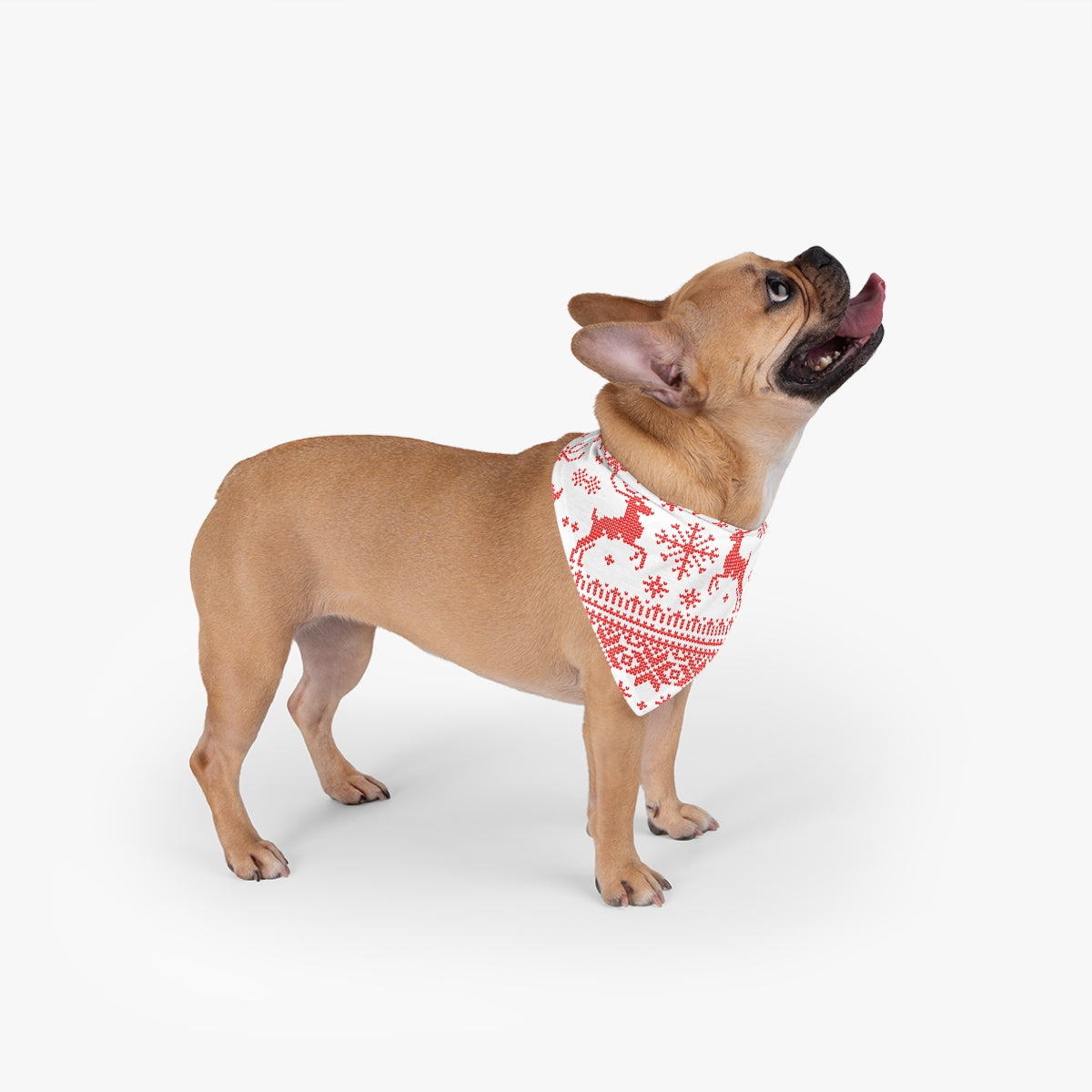 Ugly Sweater Pet Bandana