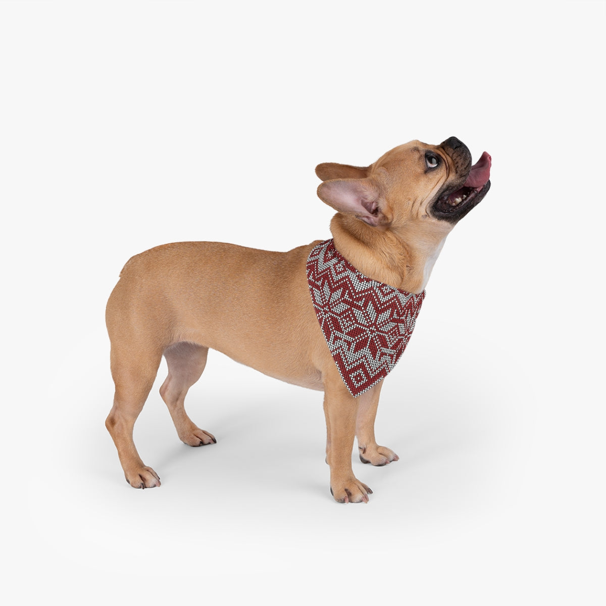 Ugly Sweater Pet Bandana